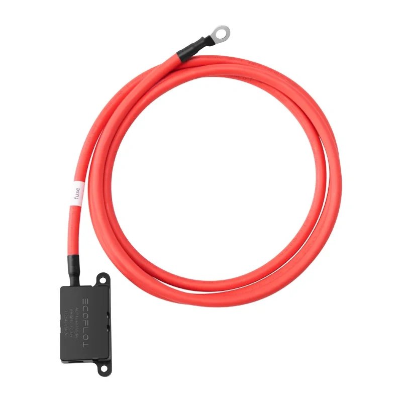 EcoFlow generaatorilaadija pikenduskaabel (2 m)