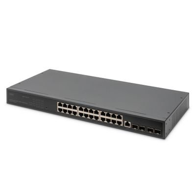 DIGITUS 19