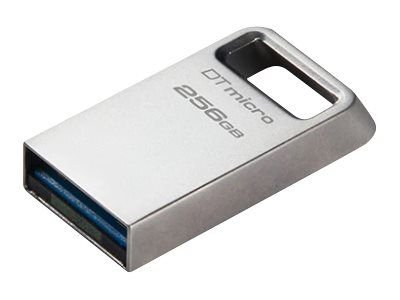 Kingston USB-Stick DataTraveler Micro - USB 3.2 Gen 1 (3.1 Gen 1) - 256 GB - silver, DTMC3G2/256GB