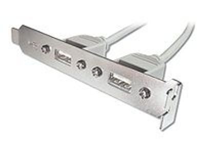 DIGITUS USB-Slotblechkabel - 2x USB Type-A/2x IDC (5-pin) - 25 cm