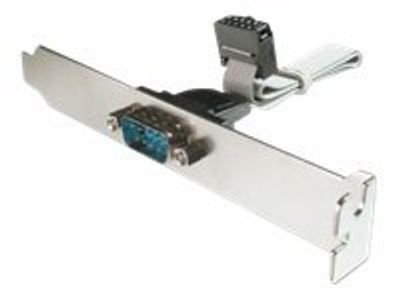DIGITUS Slot bracket adapter cable - DSUB (9-pin)/socket connector (10-pin) - 25 cm
