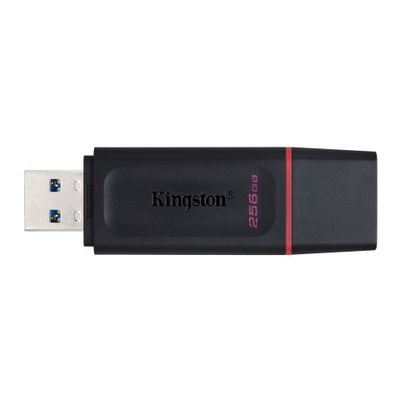 Kingston DataTraveler Exodia - USB flash drive - 256 GB
