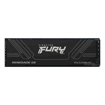 Kingston FURY Renegade G5 - SSD - 4 TB - PCI Express 5.0 x4 (NVMe)