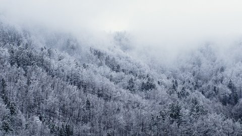 Lumi